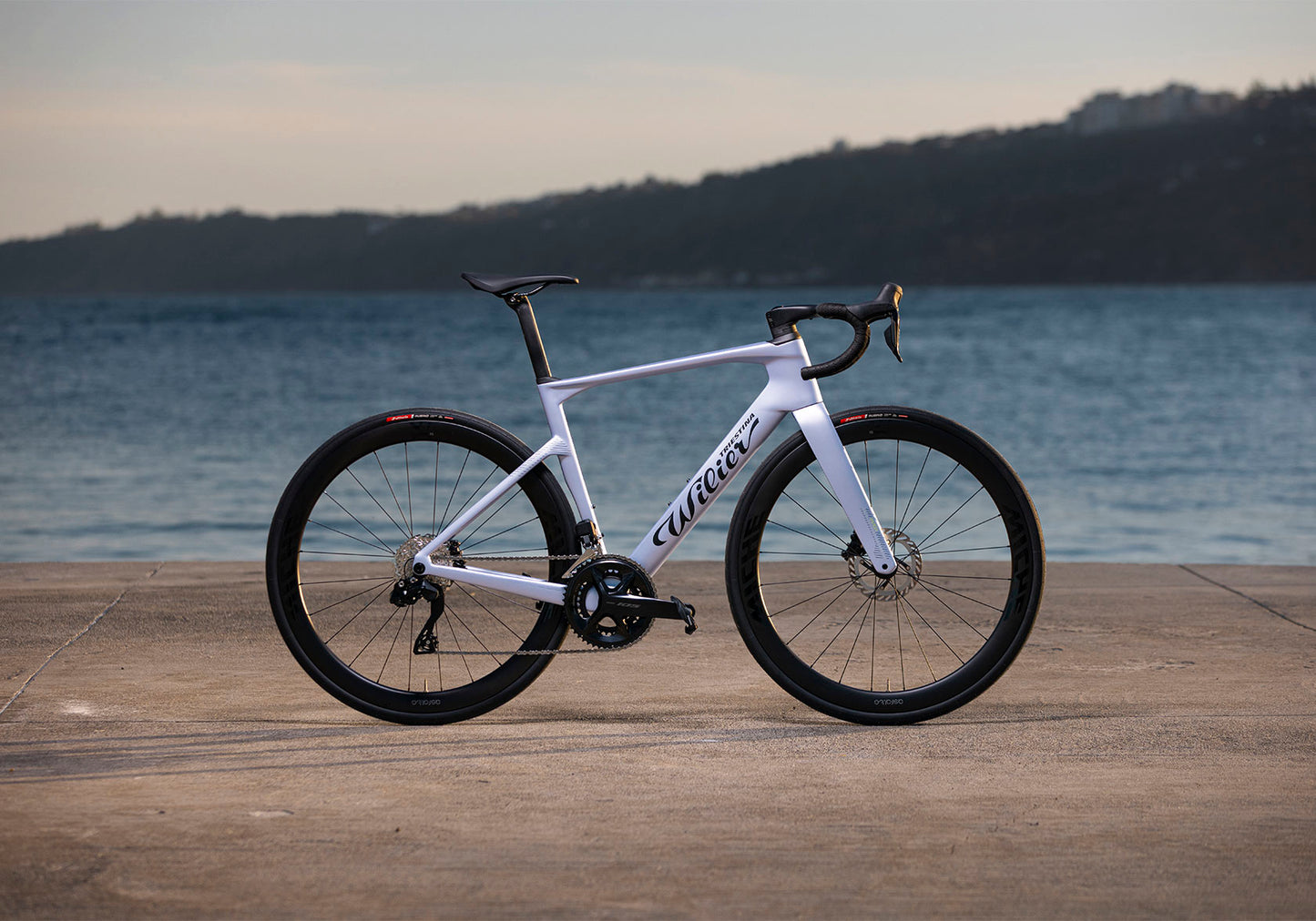 Wilier Rapida